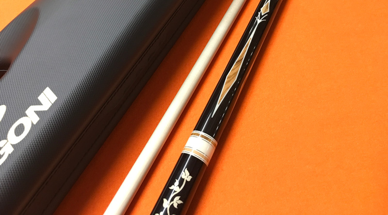 pool cue and case